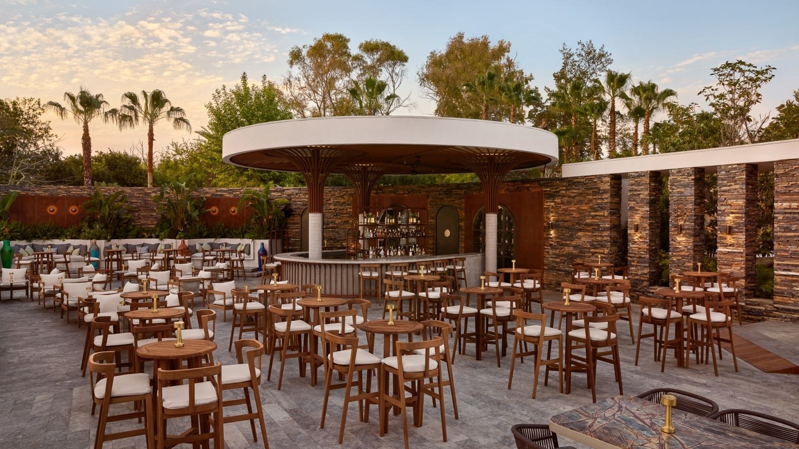 bars-the-251-social-club