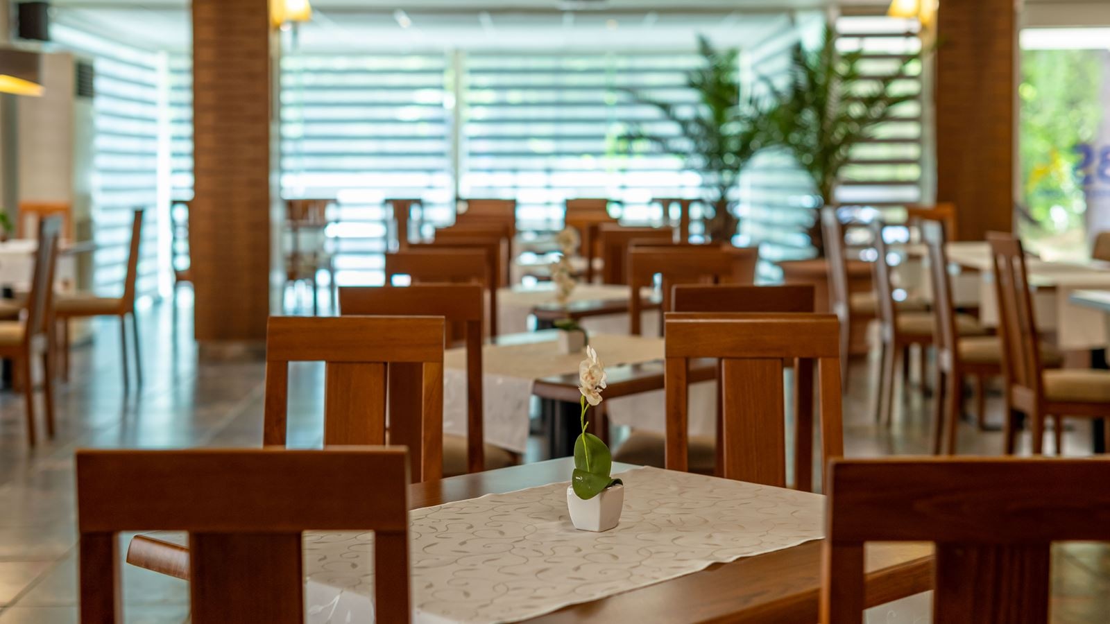 restaurants-main-restaurant