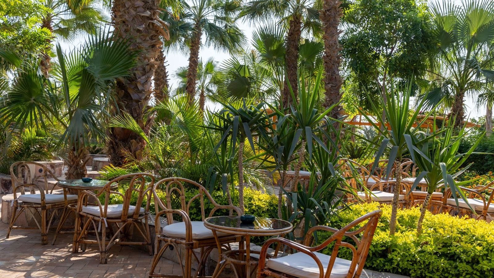 bars-jungle-pool-bar-adults-only