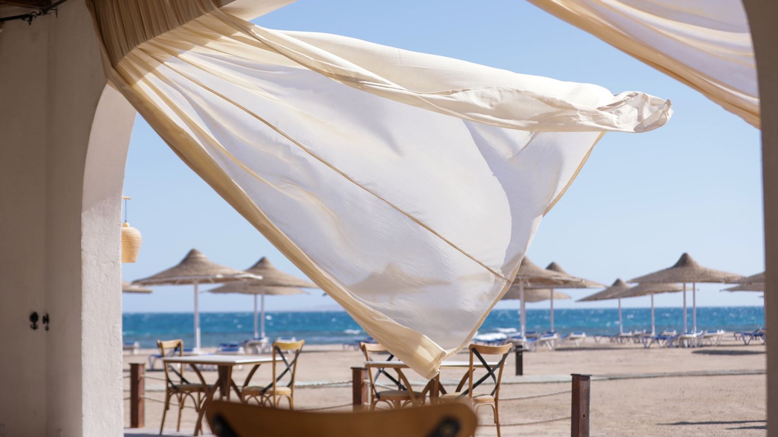 restaurants-buzz-restaurant