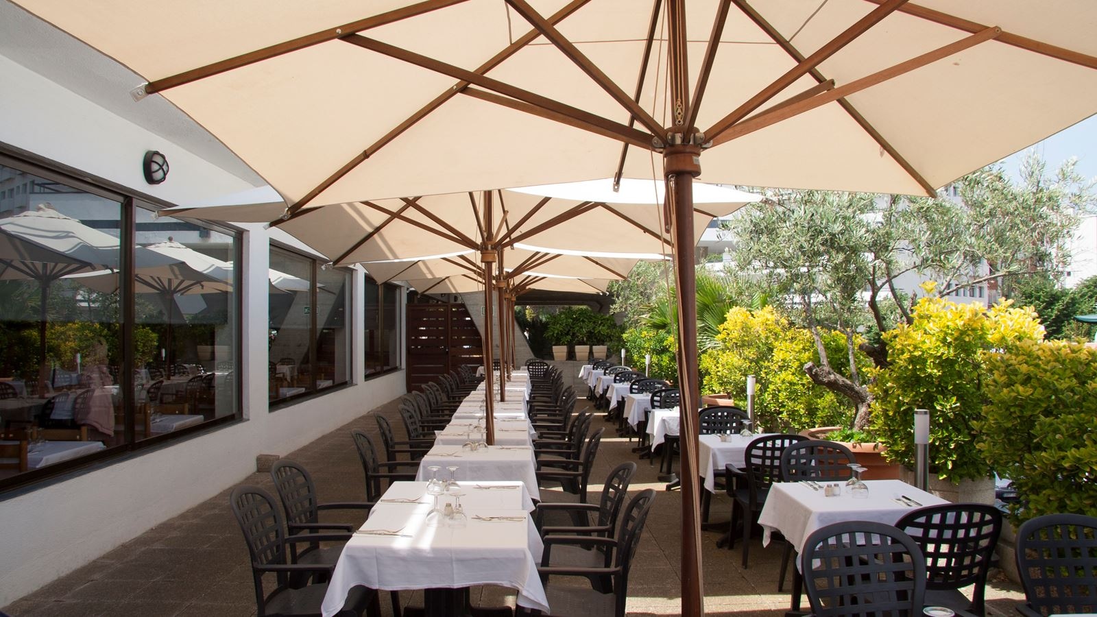 restaurants-main-restaurant