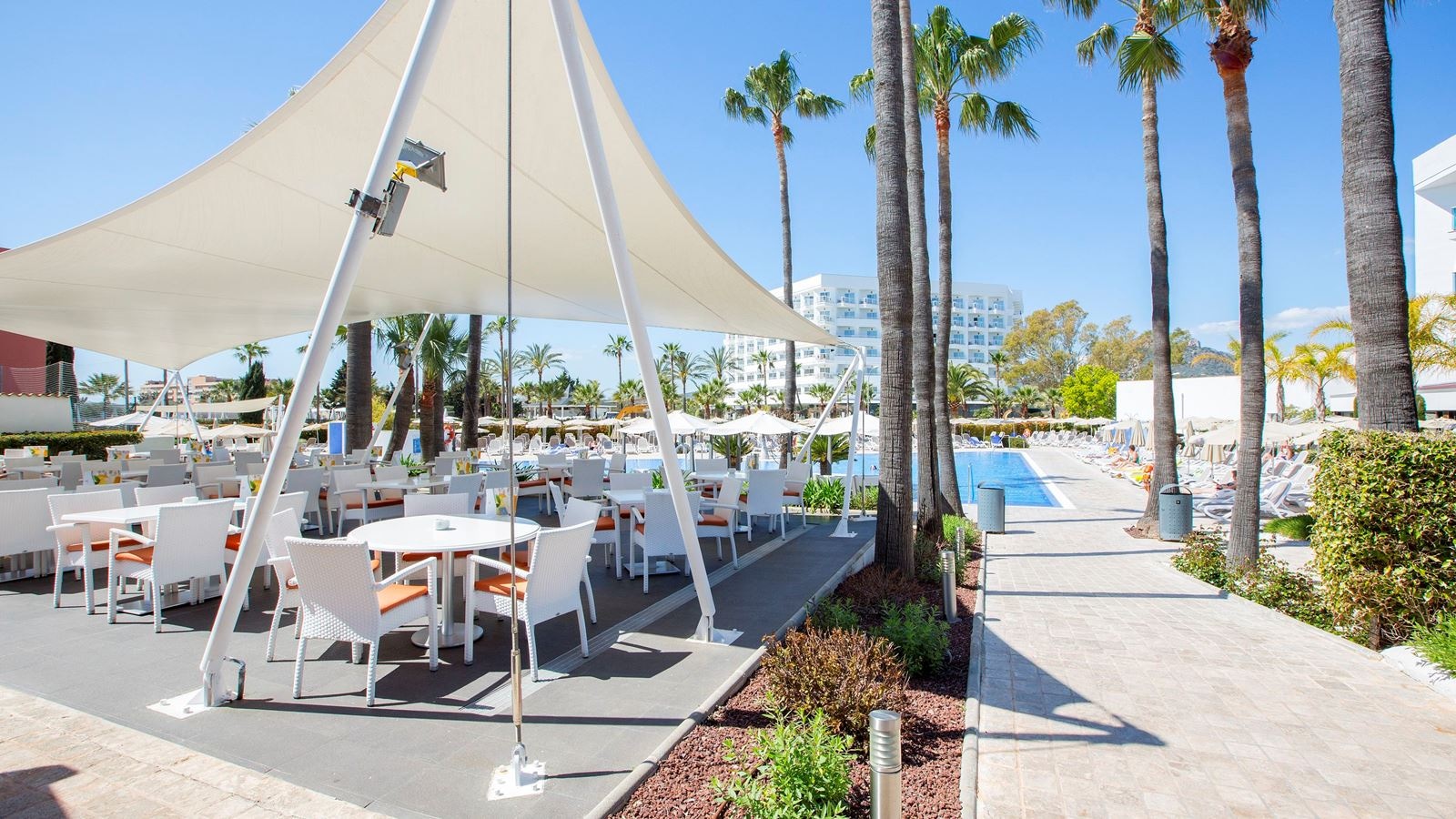 restaurants-snack-bar