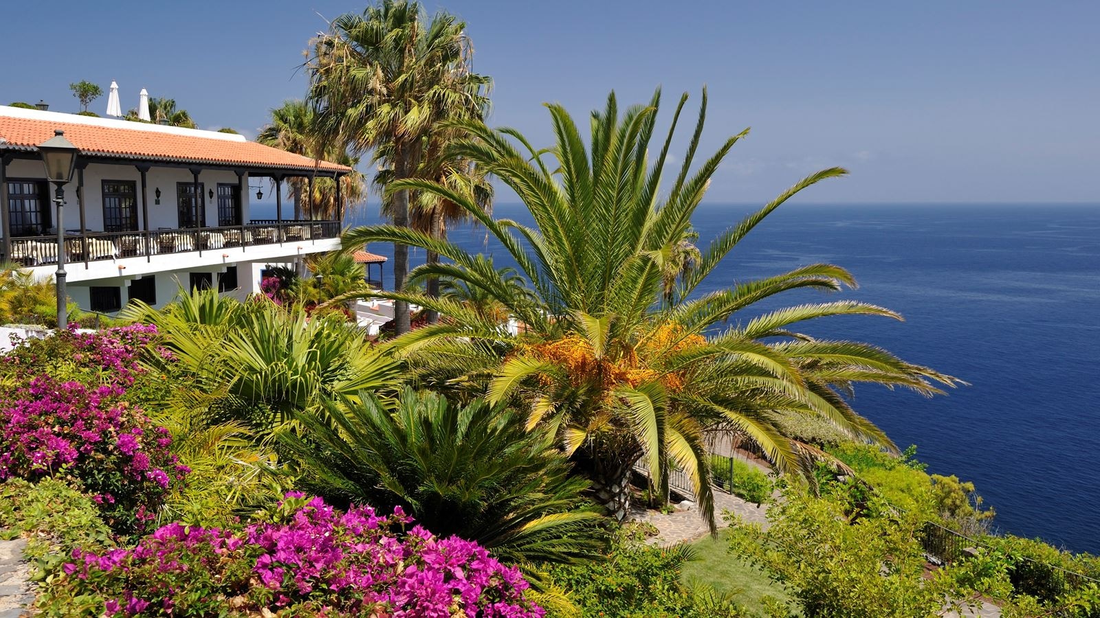 restaurants-buffet-las-viñas