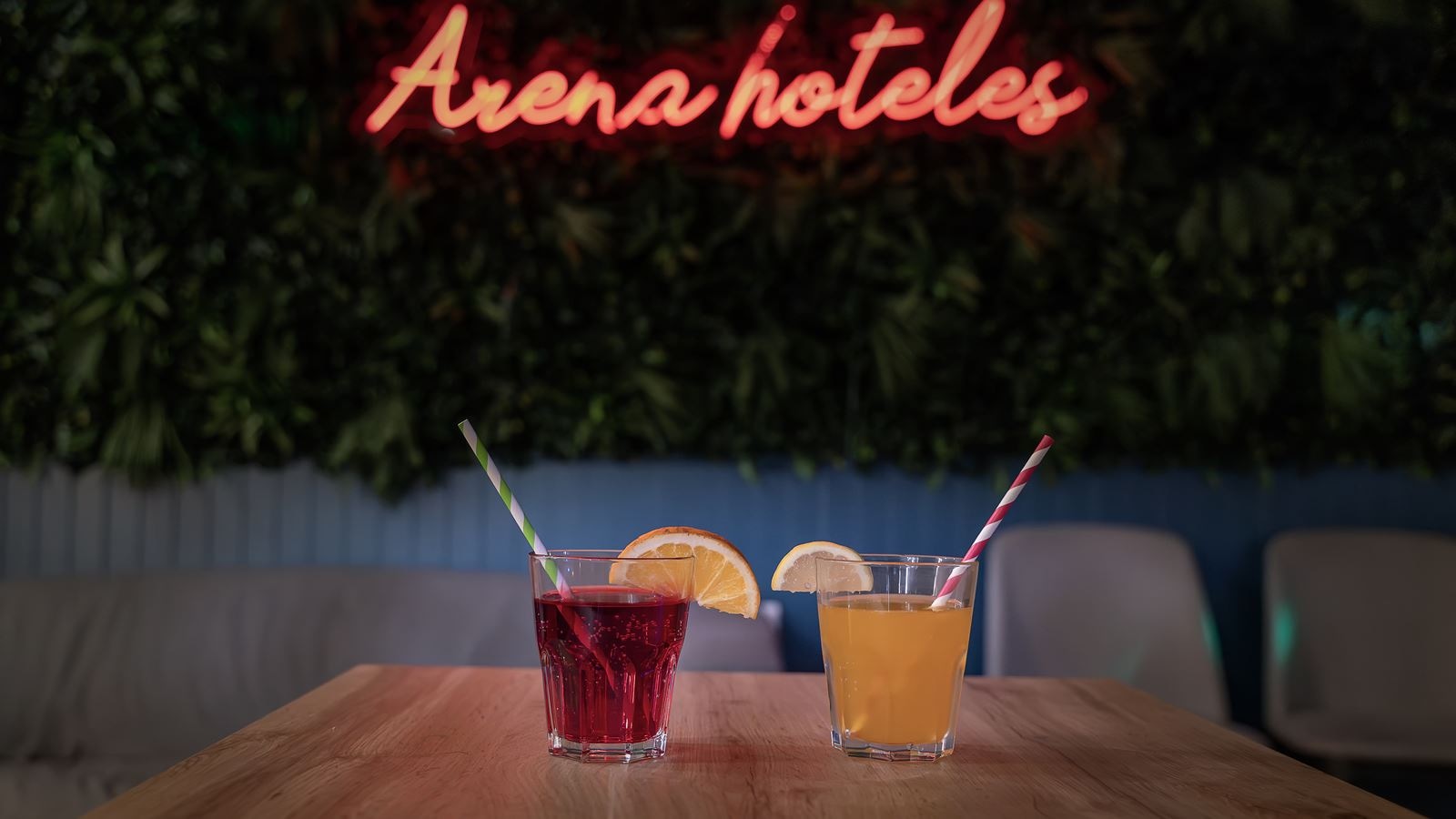 bars-disco-bar-summer