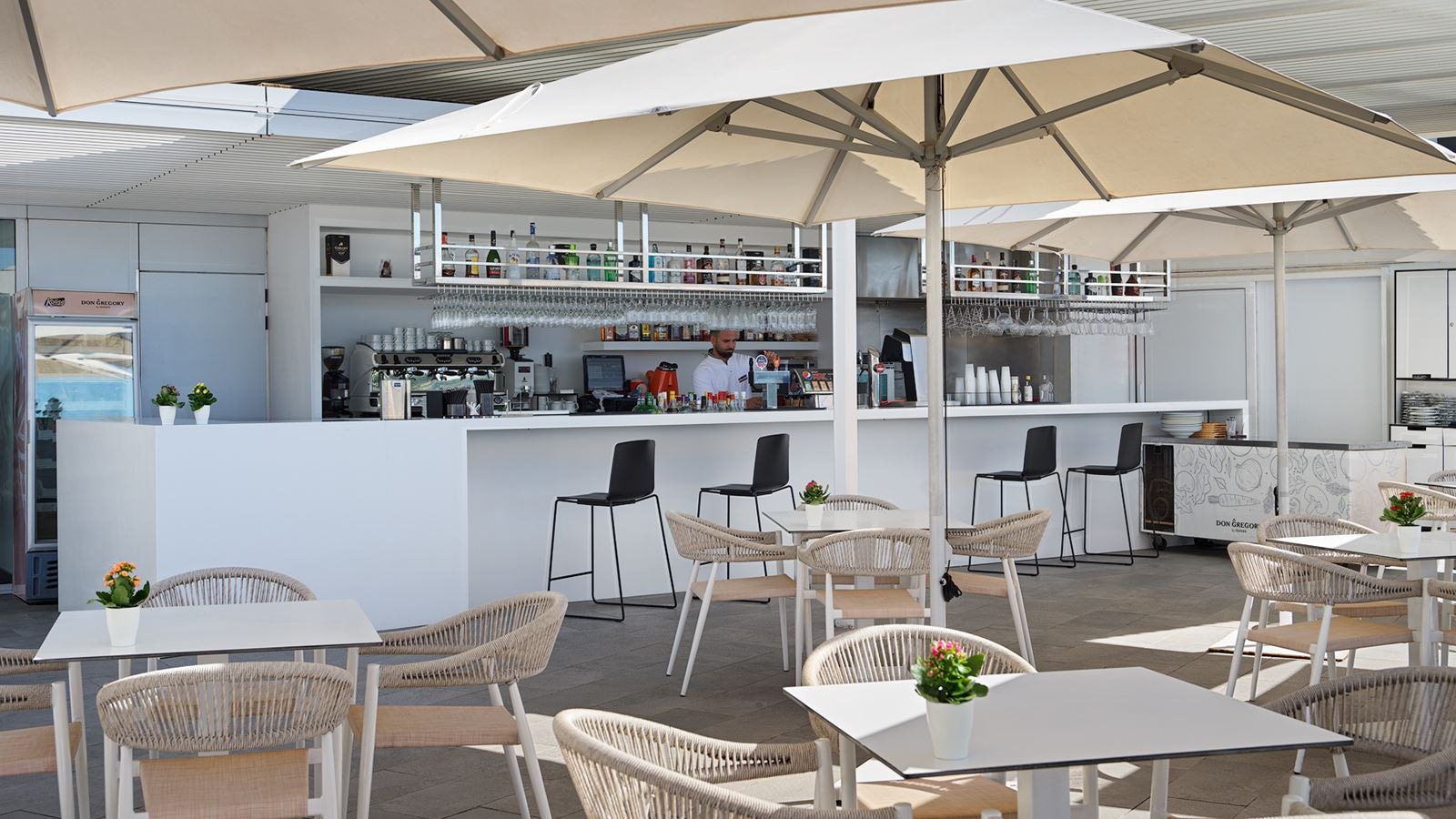 restaurants-bar-piscina-gregs-bar